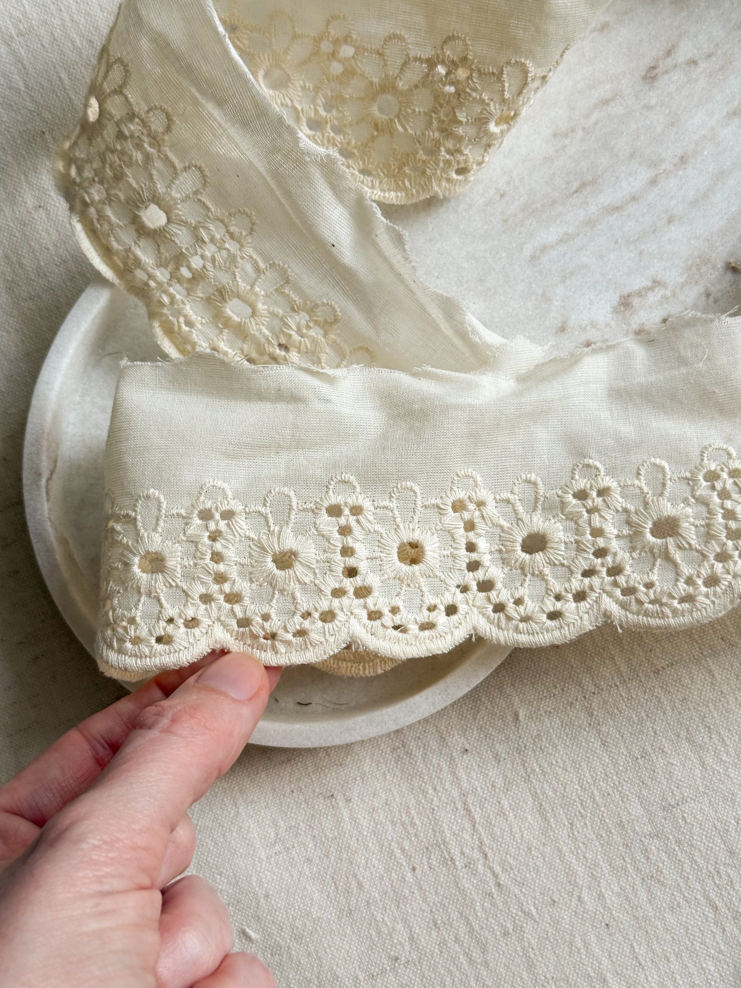 Cotton Broderie Anglaise Trim - Ecru - 60mm Wide