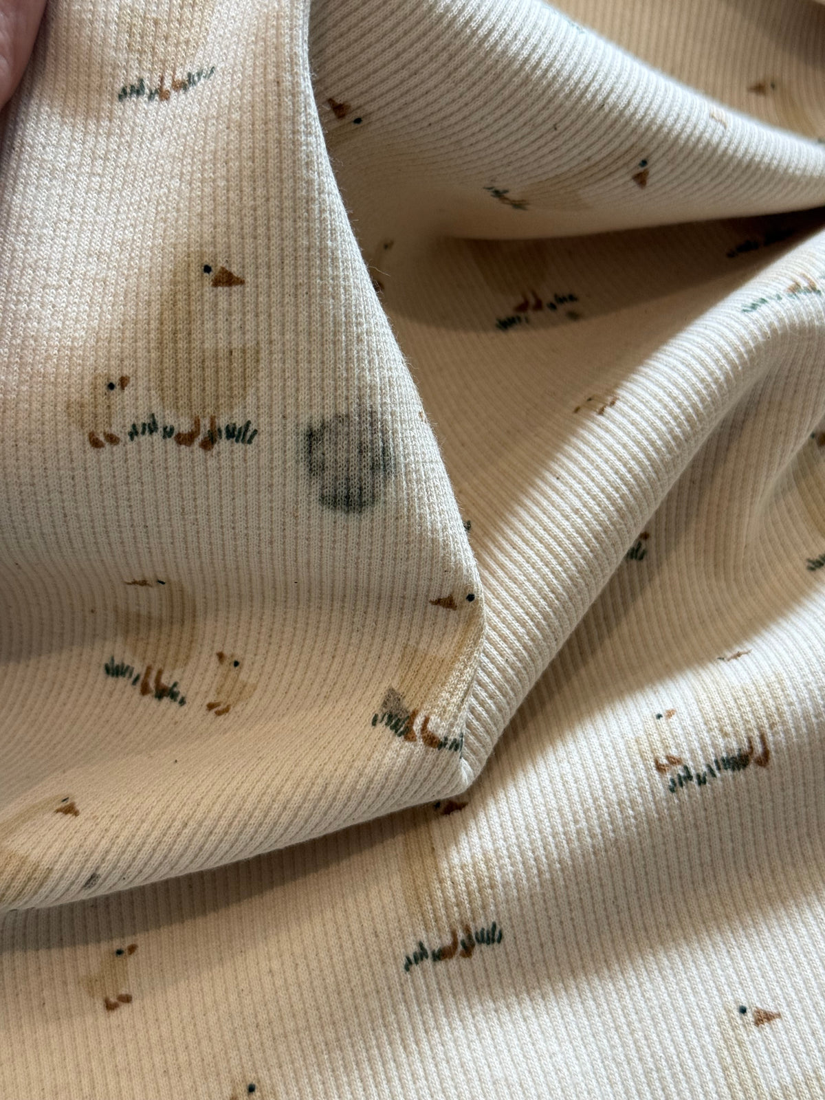 Ribbed Organic Cotton Jersey Fabric - Goose - 75cm Remnant - Damaged - SEE IMAGE
