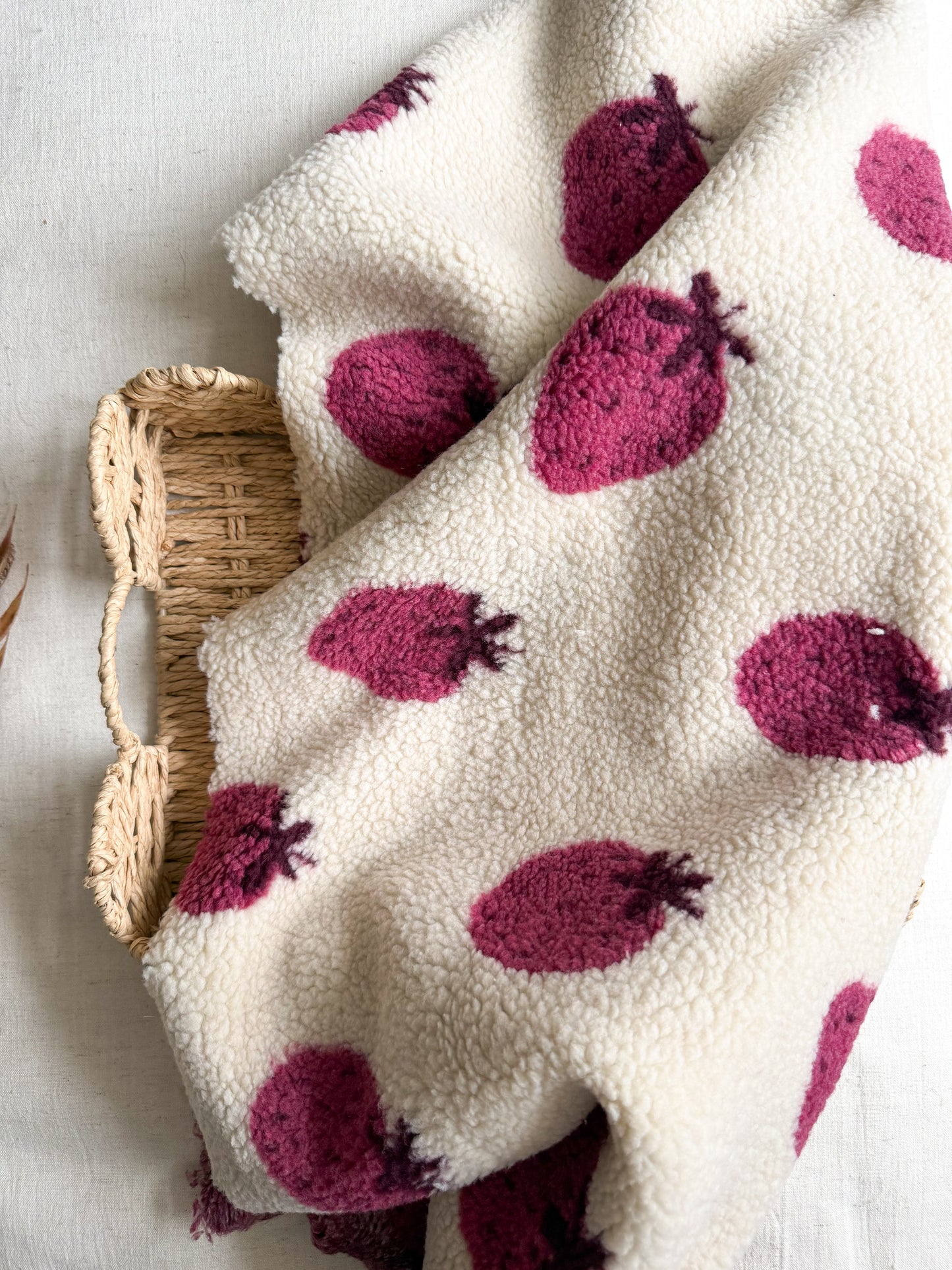 Soft Teddy Fabric - Strawberries