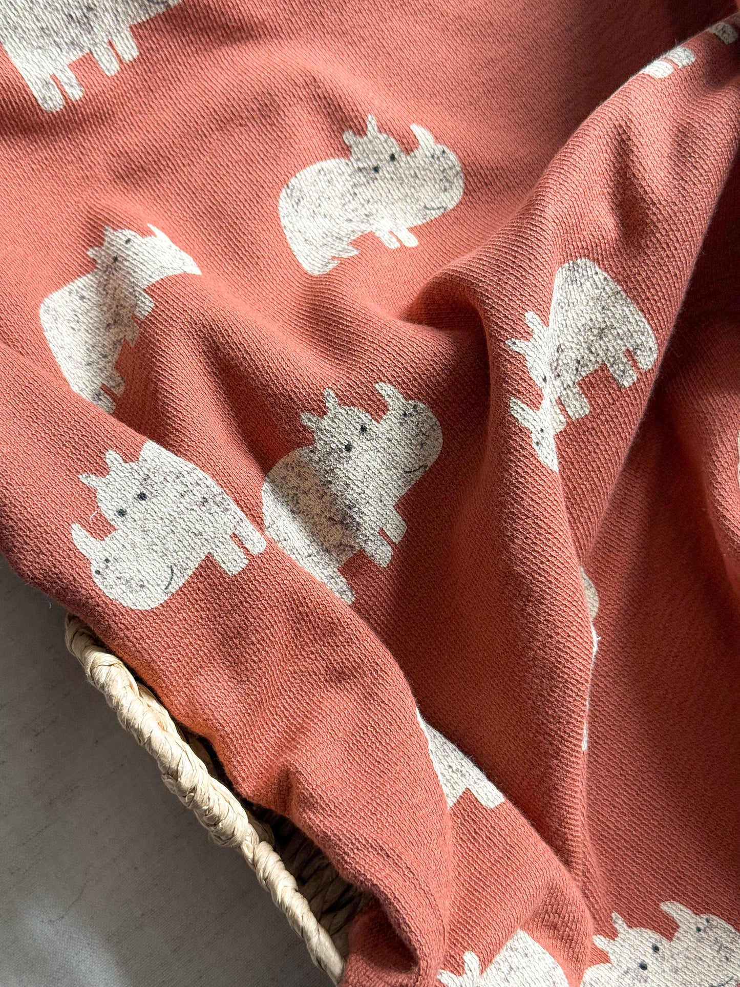 Cotton Terry Crepe Fabric - Rhino