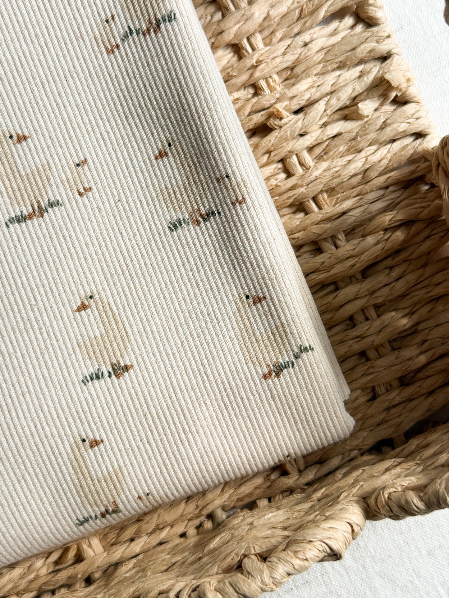Ribbed Organic Cotton Jersey Fabric - Goose
