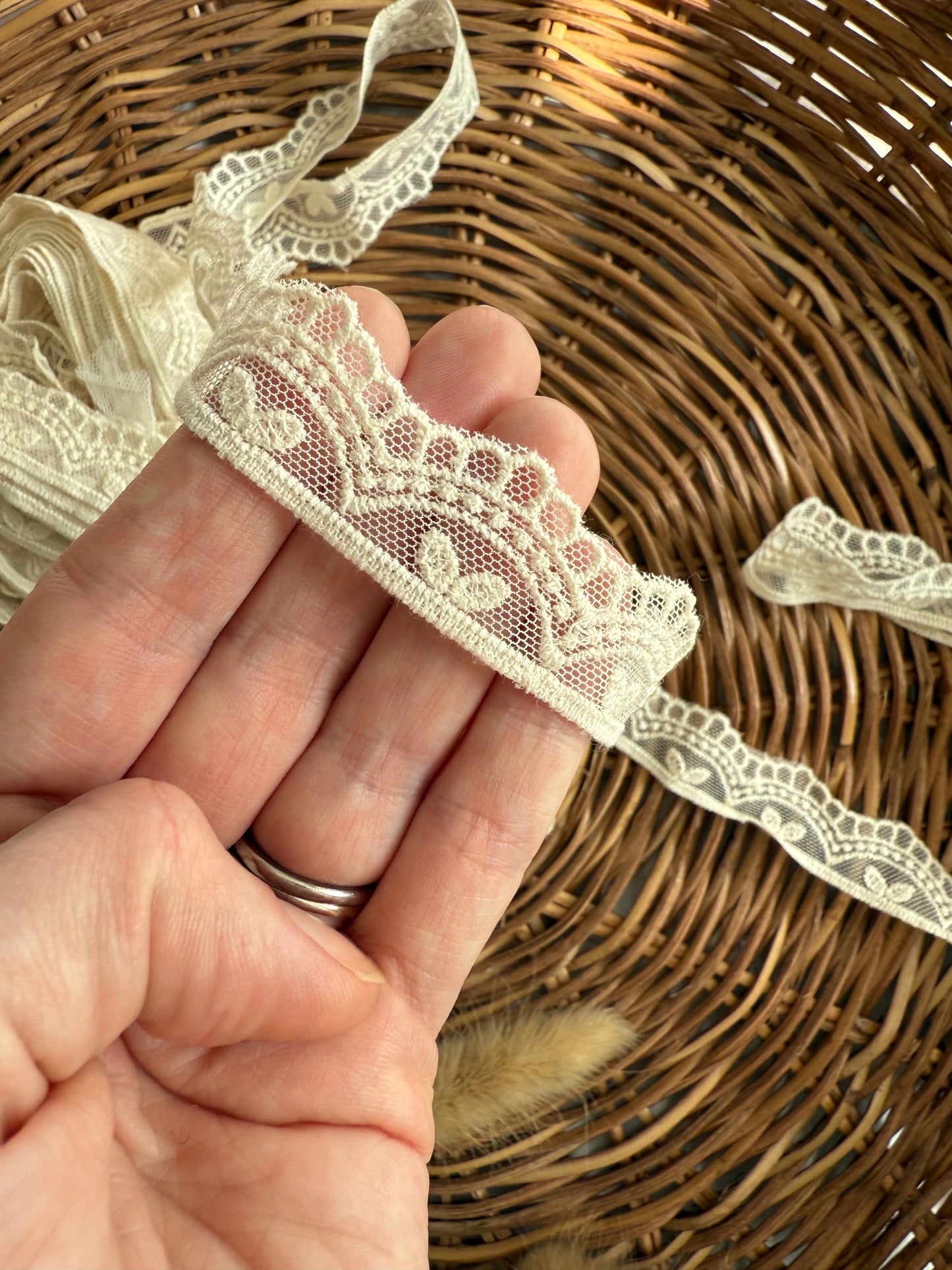Cream Embroidered Tulle Trim - Delicate Pattern