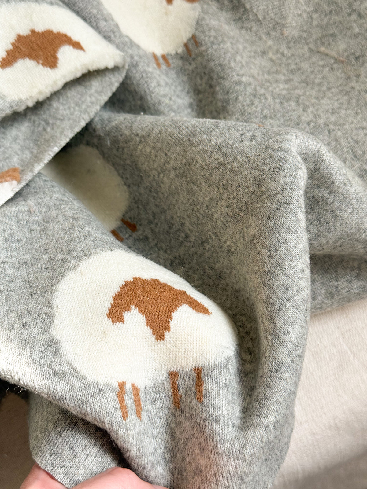 Soft Teddy Sheep Fabric - 3D Sheep