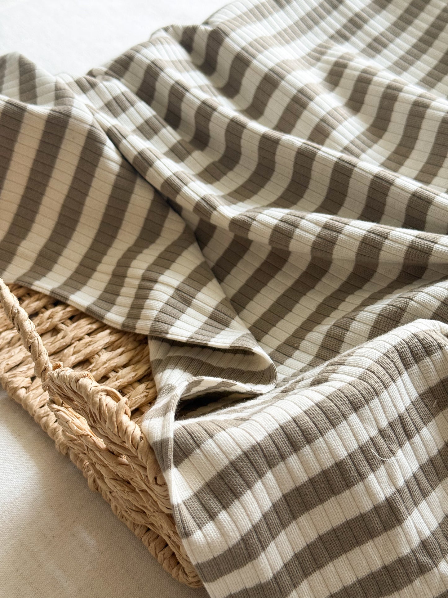 Ribbed Cotton Jersey Yarn Dyed Stripe - Taupe