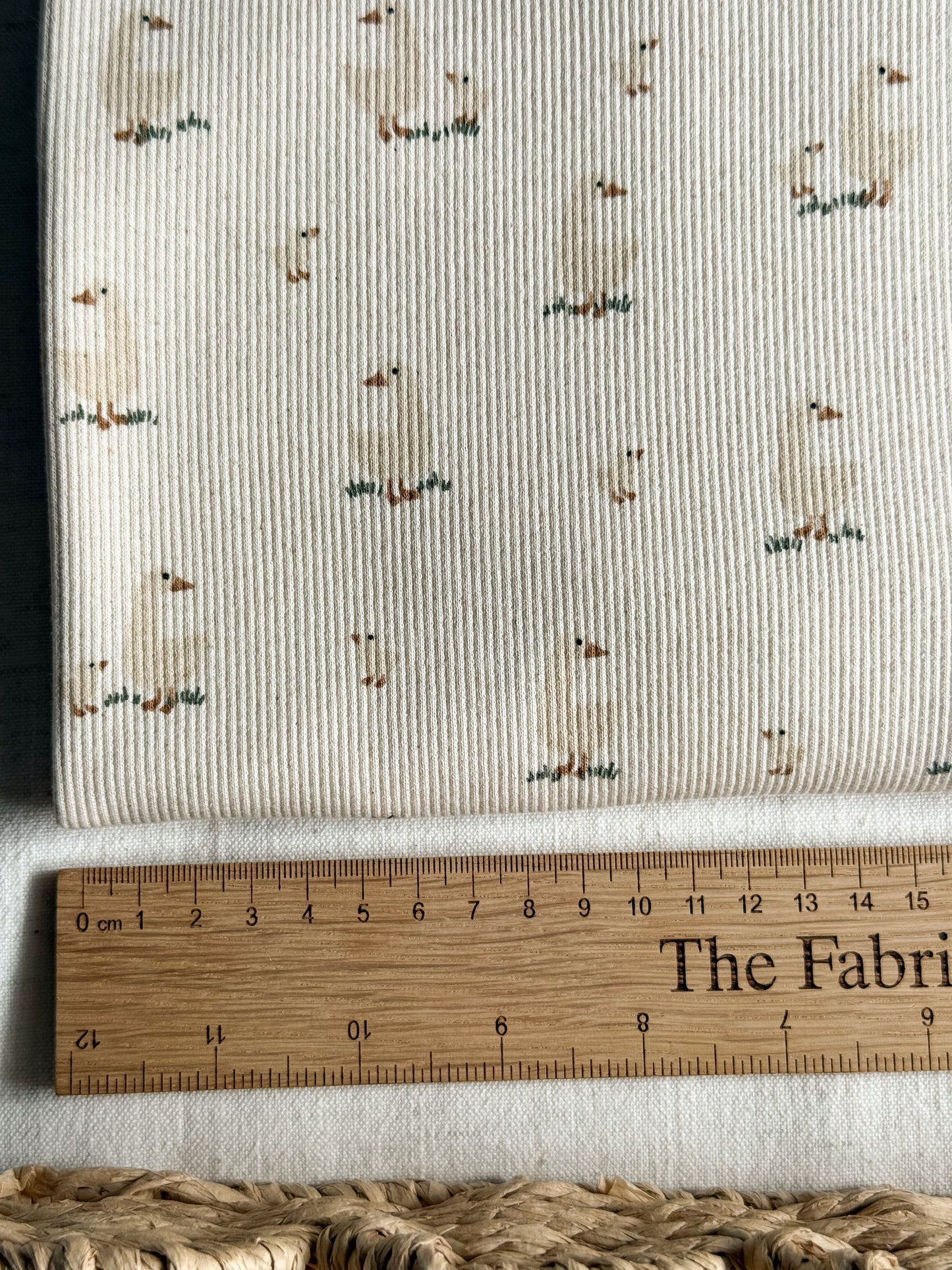 Ribbed Organic Cotton Jersey Fabric - Goose