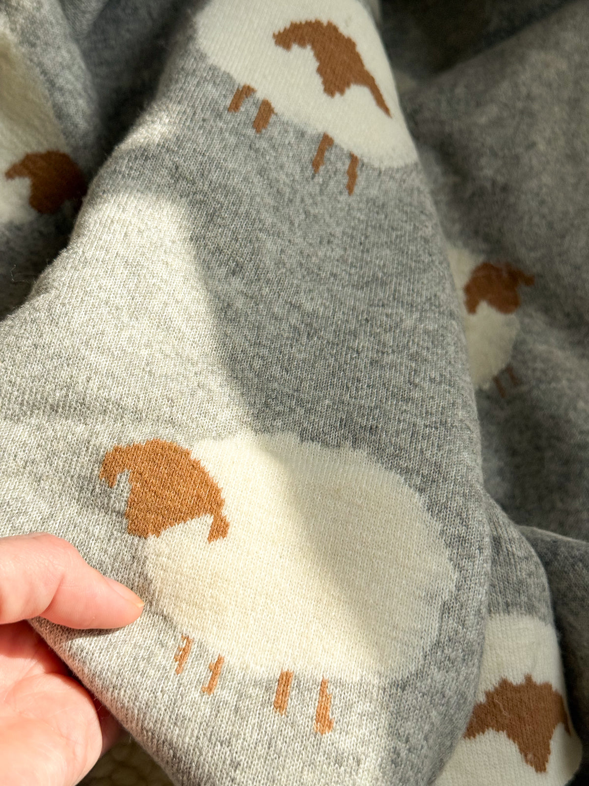Soft Teddy Sheep Fabric - 3D Sheep