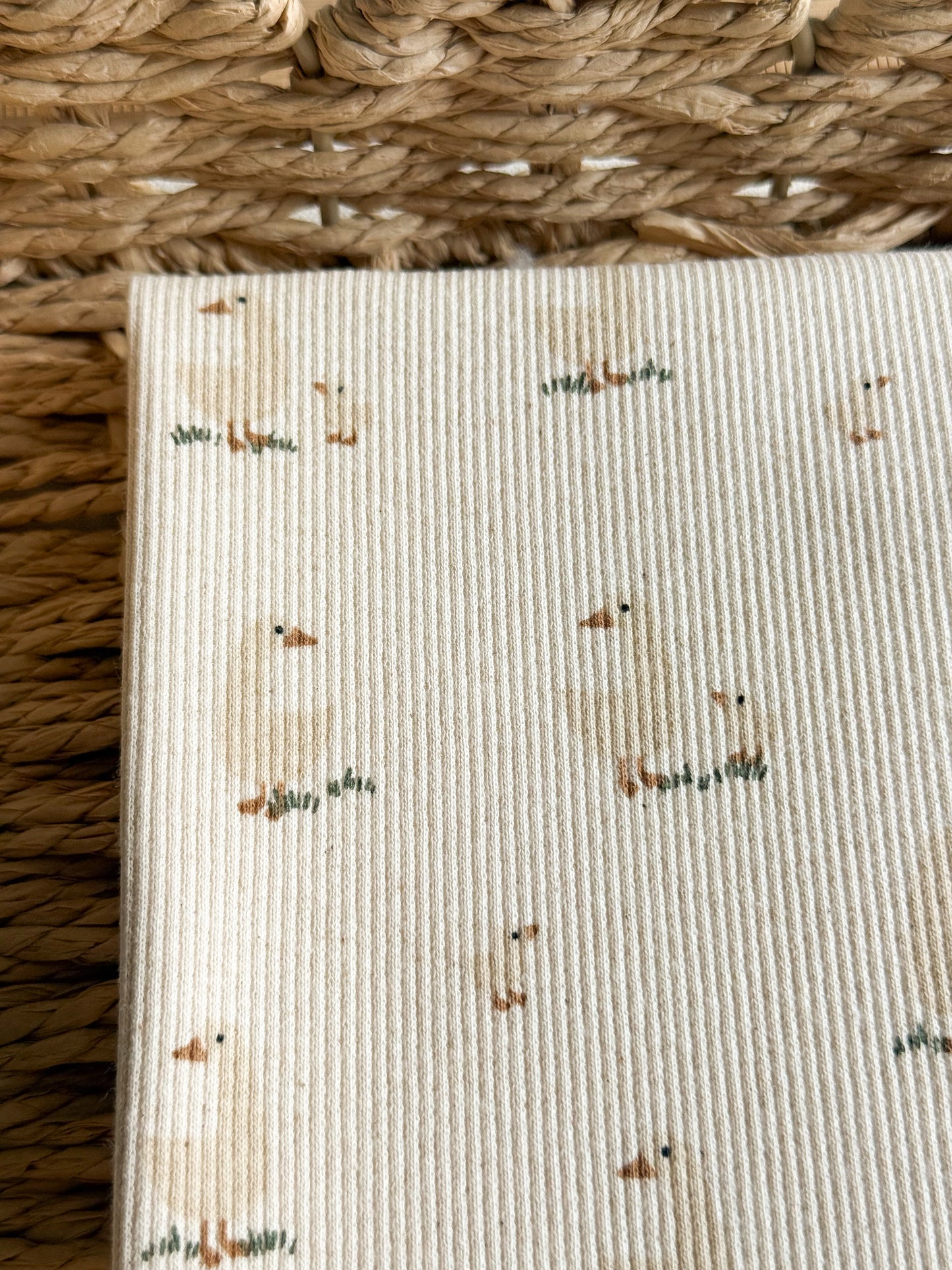Ribbed Organic Cotton Jersey Fabric - Goose