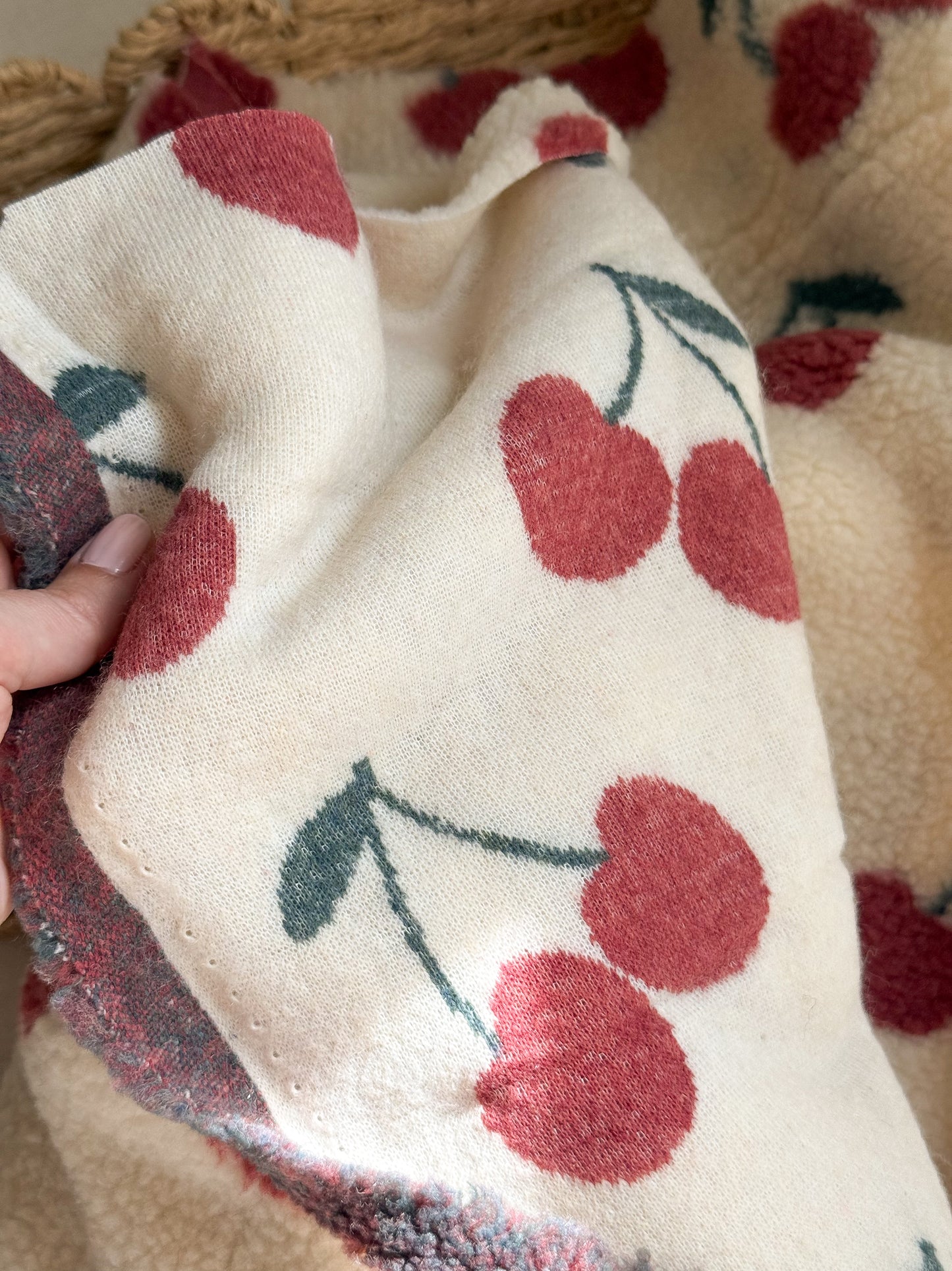 Soft Teddy Fabric - Cherries