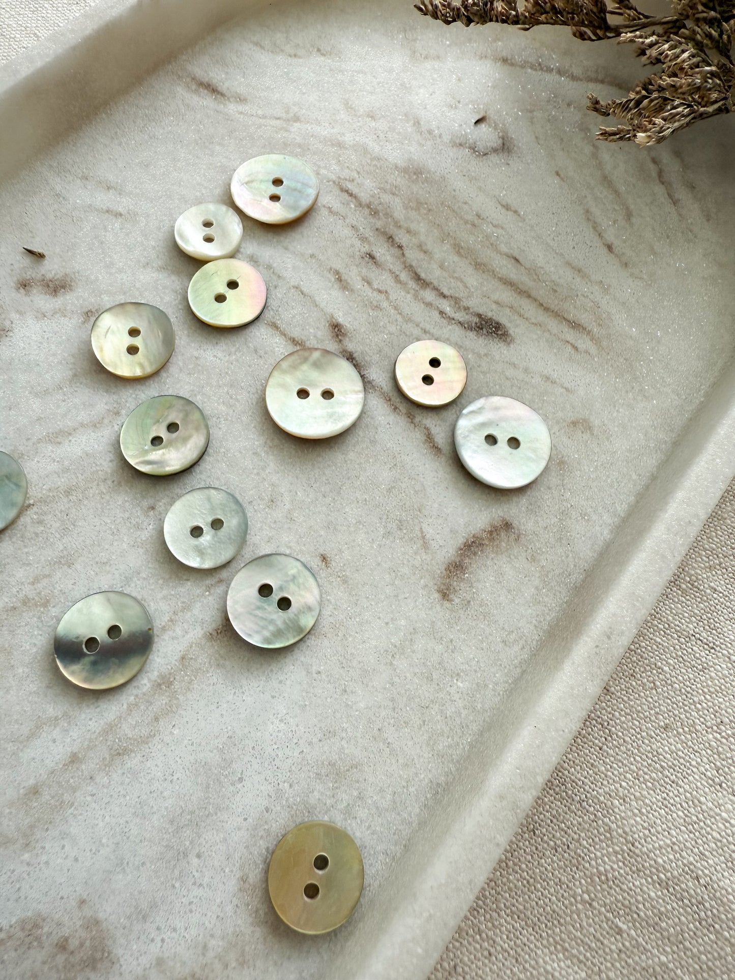 A natural mother of pearl sewing button with two holes in a number of sizes